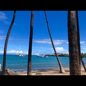 Meet your Posher, Billy